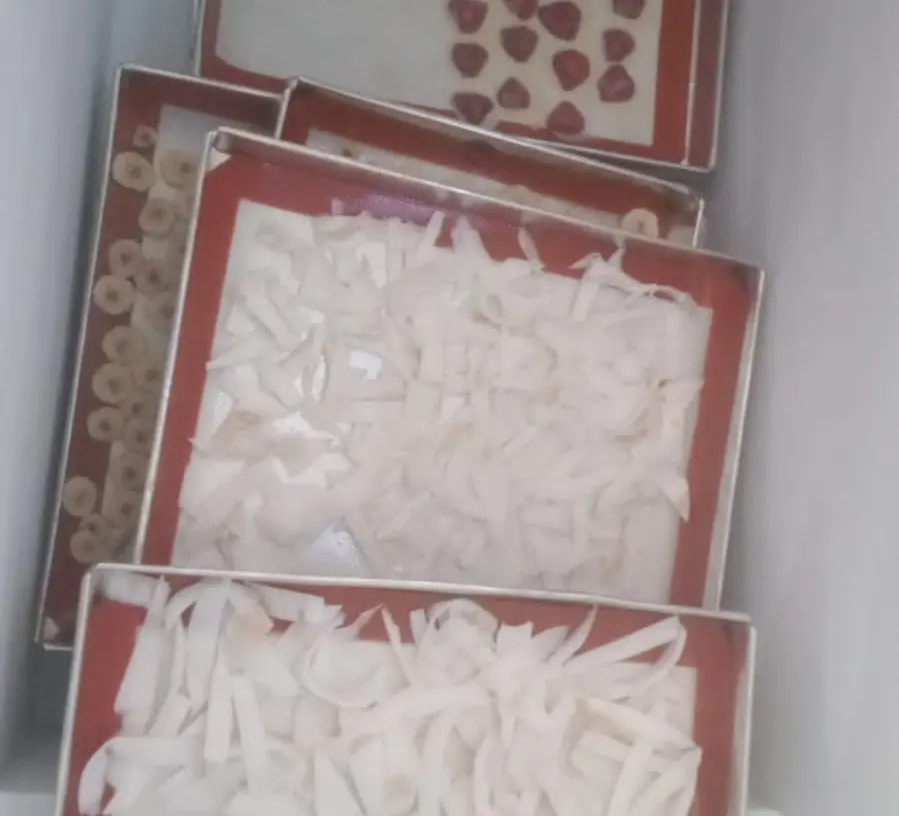 Gallery proses freeze drying 2